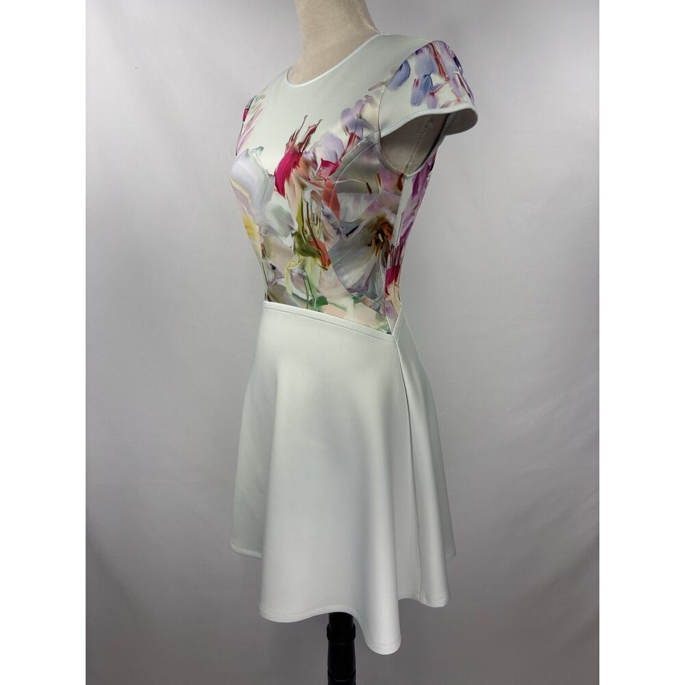 Ted Baker Rivana Fit & Flare Dress Light Blue Hanging Gardens Floral Size 0 US 2